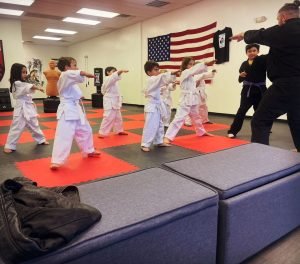 Taekwondo